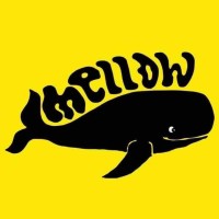 Mellow Surf logo - Similar company to Local Threads