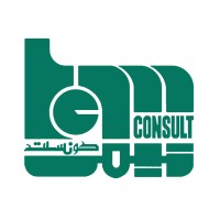 Team Consult LLC logo - Similar company to Web Dewd