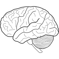 Cerebellum Ventures logo - Similar company to Paro