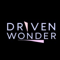 Driven Wonder logo - Similar company to Ordinary But Unique