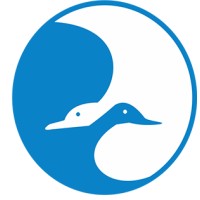 Blue Wing Airlines
