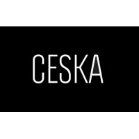 CESKA logo - Similar company to Cska Btp