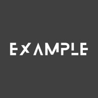Example Infotech logo - Similar company to It Bhima