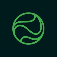 NVSOFT logo - Similar company to Dmsys - Inteligência Em Negócios