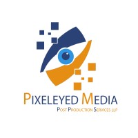 PIXELEYED MEDIA POST PRODUCTION SERVICES logo - Similar company to Max Dimensions