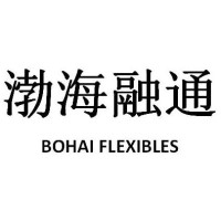 Longkou Bohai Flexibles Packing Co., Ltd. logo - Similar company to Ag Textiles