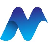 Noetic IT Services logo - Similar company to We - It