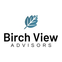 Birch View Advisors logo - Similar company to Tavas Llc