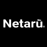 Netarù logo - Similar company to Infodati Adv