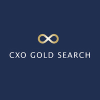 CXO Gold Search logo - Similar company to Tokyo Executive Search Co.,Ltd.
