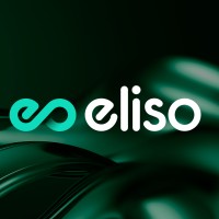 eliso logo - Similar company to Chargehere Gmbh - Ein Unternehmen Der Enbw