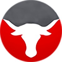 Red Bull IT Services logo - Similar company to Genius Systems