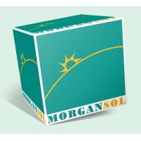 MORGAN SOL logo - Similar company to Altex