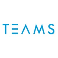 TEAMS Brasil logo - Similar company to Cyberbrain Consulting