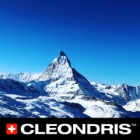 Cleondris logo - Similar company to C-Tech