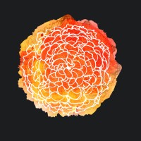 Marygold Savings logo - Similar company to Sync Savings