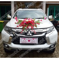 Rental Mobil Palembang logo - Similar company to Pt. Semesta Bolo Transindo (Sembodo)