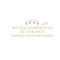 Hotel Gambrinus Cervia logo - Similar company to Hotel Riviera A Milano Marittima