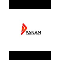 Panam Capital Market LLP logo - Similar company to Forthius Capital