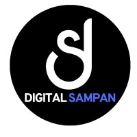 Digital Sampan logo - Similar company to Sky Web Sol