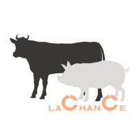 Lachance Ruminant & Pig Nutrition logo - Similar company to Dairy Nutrition Plus