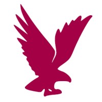 Vermillion Wealth Management logo - Similar company to North Edge Wealth