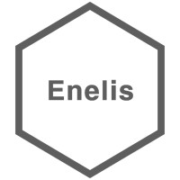 Enelis logo - Similar company to Enelis Informatika