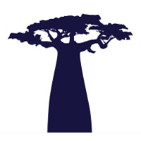 Kubu Ventures logo - Similar company to Morphosis