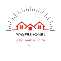 Profesyonel Gayrimenkul City logo - Similar company to Yatırımcı İş İnsanları Ticari Gayrimenkul Ağı - Yi̇tga