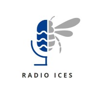Radio ICES logo - Similar company to Duval Duval Veron Constance