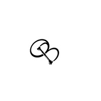 oneBone logo - Similar company to Oaselle