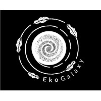 EkoGalaxy logo - Similar company to Medtips