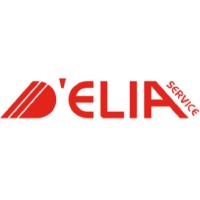 D'Elia Service s.r.l logo - Similar company to Lithos Plus