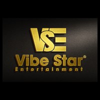 Vibe Star Entertainment logo - Similar company to Song For You