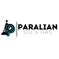 Paralian logo - Similar company to Kp Sourcing Llc