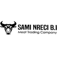 SAMI NRECI B.I. logo - Similar company to Ngoại Ngữ & Tin Học Đức Tuệ Việt