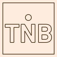 The Nest Box logo - Similar company to Georhythm