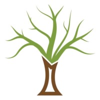 Arbor Nature logo - Similar company to Arbornature Tree Experts