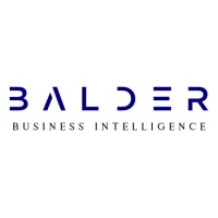 BALDER Business Intelligence logo - Similar company to Risk Information Group
