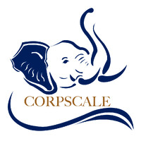 Corpscale (Pty) Ltd logo - Similar company to Driven To Succeed, Llc