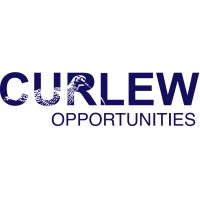 Curlew Opportunities logo - Similar company to Jigsaw Assets