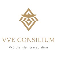 VvE Consilium logo - Similar company to Studio Satu