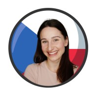 tschechisch.online logo - Similar company to Via Digital | Linkedin Ads Für B2B