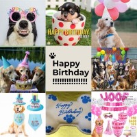 Jolly Paws logo - Similar company to Rapido Talent