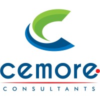 Cemore Consultants Pte Ltd logo - Similar company to Dixie Group Ltd