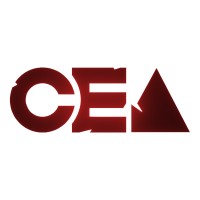Collegiate Esports Association logo - Similar company to Silvernail Web Design