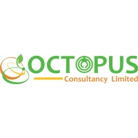 OCTOPUS CONSULTANCY logo - Similar company to Building In Kenya