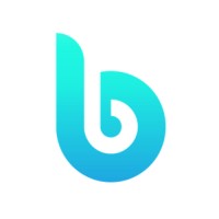 Blinsoft Technologies logo - Similar company to Planet4Tech