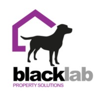 Black Lab Property Solutions Ltd logo - Similar company to Cow&Co London