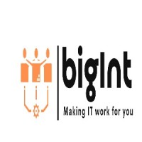 BigInt logo - Similar company to Tecbox